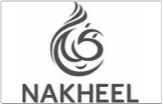 Nakheel Properties Logo – Leading Real Estate Company in UAE